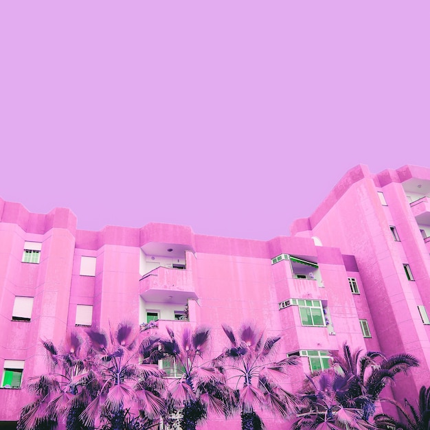 Foto vibrações tropicais rosa. arte moderna visual minimalista