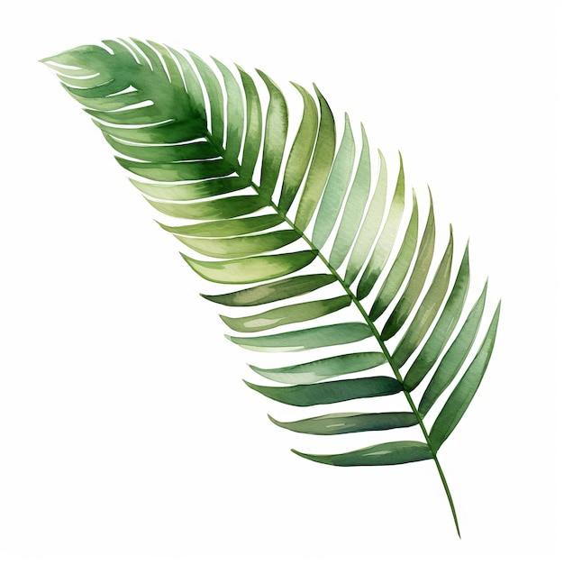 Vibrante acuarela con clip art de hojas de palma sobre un fondo blanco