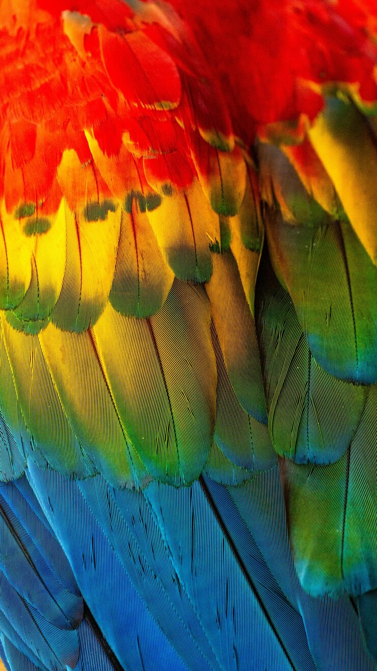 Foto vibrante armonía de la naturaleza paleta de colores y luces en flor
