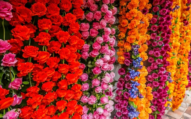 Una vibrante y colorida exhibición floral en la pared