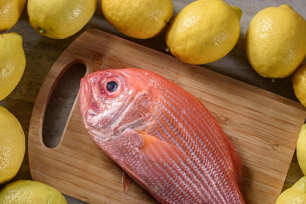 Vibrante primer plano de pargo rojo fresco y crudo con un toque de limón picante en 4K