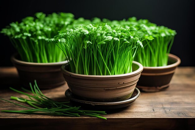 Vibrantes cebollas verdes en macetas generan Ai