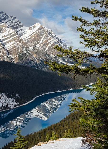 Vibrierender blauer Peyto See mit Reflexion von kanadischem Rocky Mountain in Alberta, Kanada.