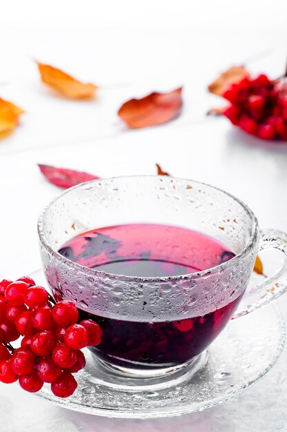 Viburnum de bayas rojas y taza de té