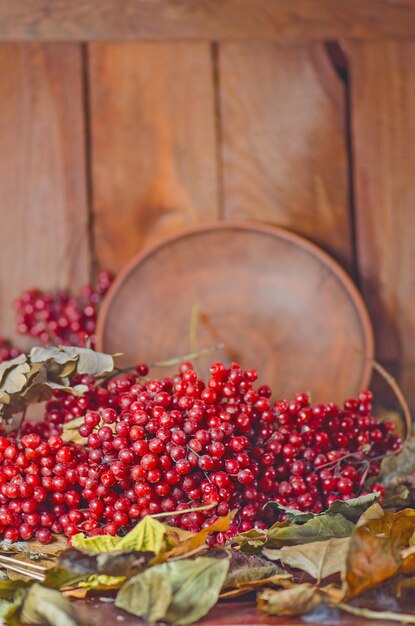 Viburnum Beeren auf einem Tisch Frische Beeren Viburnum auf einem dunklen Holztisch