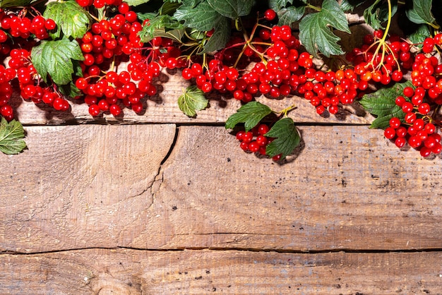 Viburnum em fundo de madeira