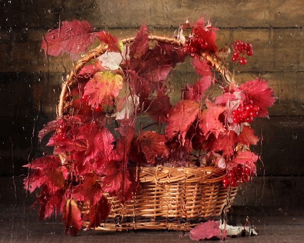 Viburnum de hojas rojas en una cesta de vidrio mojado de la lluvia