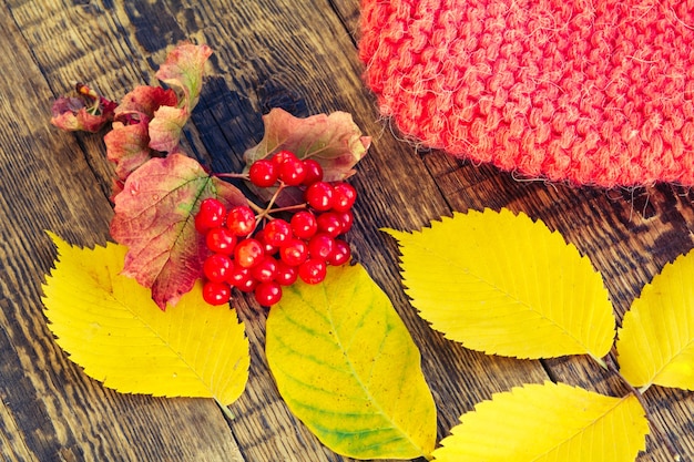 Viburnum-Zweig, rote Strickmütze und gelbe Herbstblätter auf Holzuntergrund