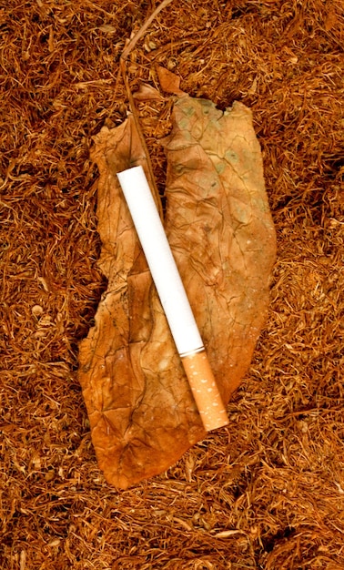 vício em cigarros e tabaco