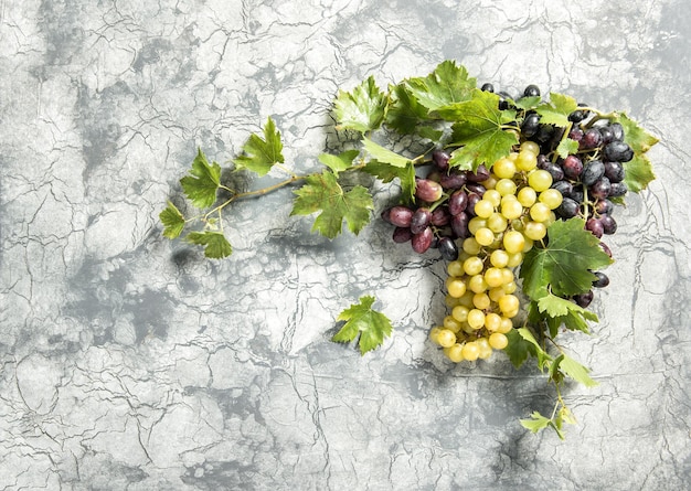 Vid de uva con fondo de piedra de hojas verdes