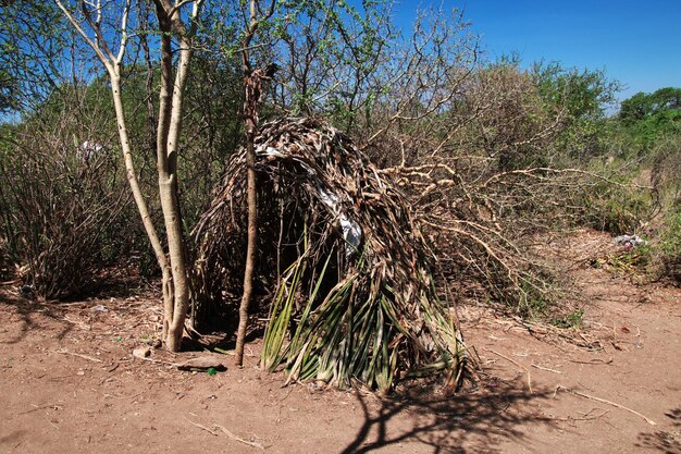 la vida de los bosquimanos en África