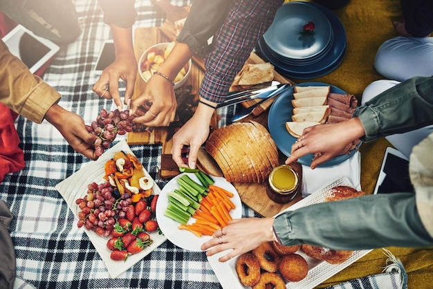 La vida es un picnic Toma de un grupo de amigos no identificables comiendo en un picnic