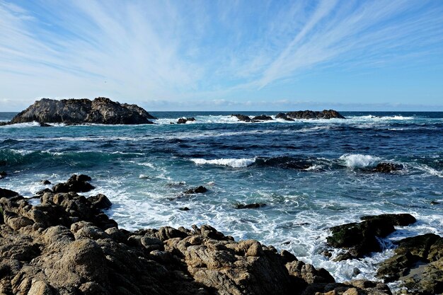 vida en el mar