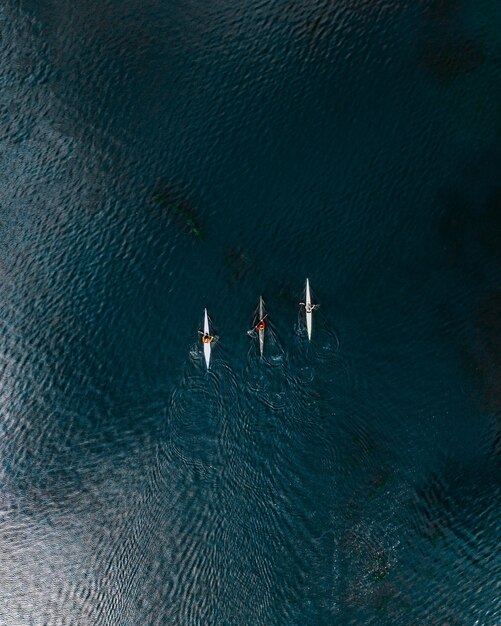 vida en el mar