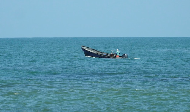 vida en el mar