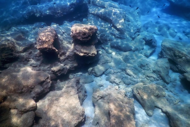 vida marina bajo el agua rocas luz del sol vida submarina