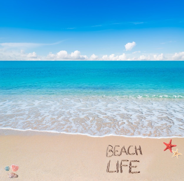 Foto vida de playa escrita en una playa tropical