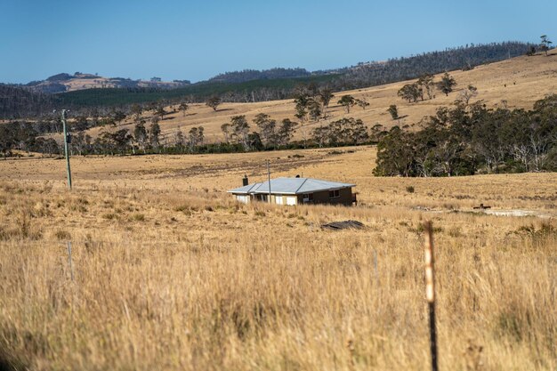 Foto vida rural fuera de la red en el interior de australia