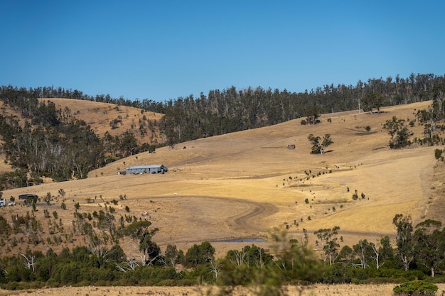 Foto vida rural fuera de la red en el interior de australia