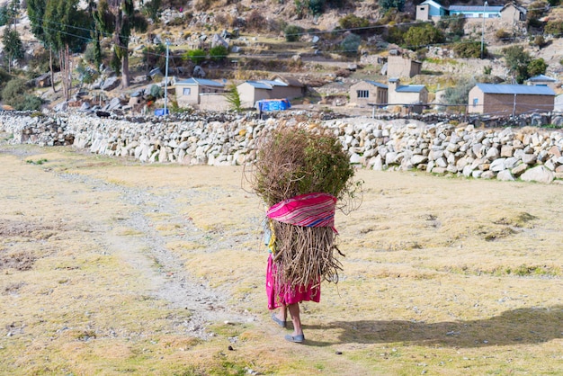 Vida rural en la Isla del Sol, Lago Titicaca, Bolivia