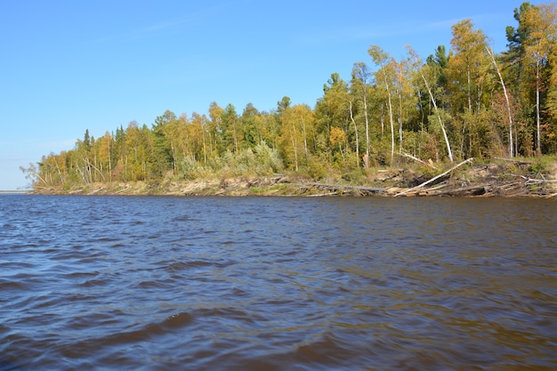 Vida Selvagem do Ártico. Paisagem de outono. Okrug autônomo de Yamalo-Nenets.