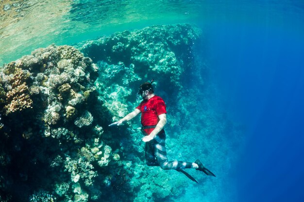 Vida submarina. Hombre de rojo esnórquel en un arrecife de coral