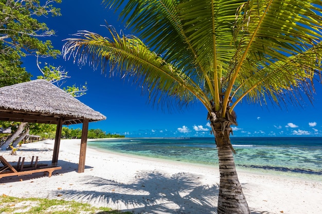 Vida tropical del centro turístico en Vanuatu cerca de Port File Efate Island