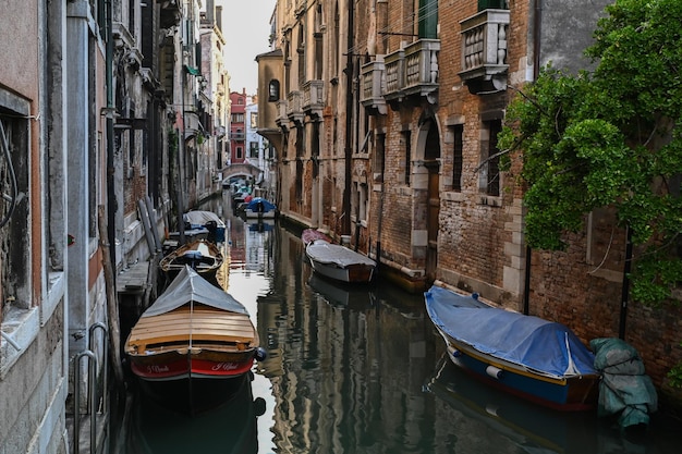 Vida en Venezia, en el puerto con barcos, botes y góndolas, lugar encantador, gran Canal en verano