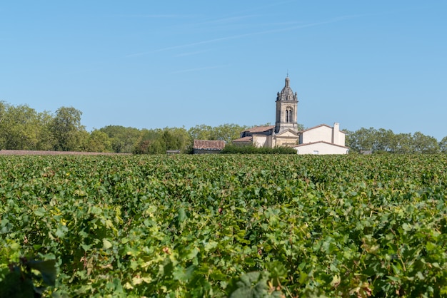 Vides del pueblo de Margaux