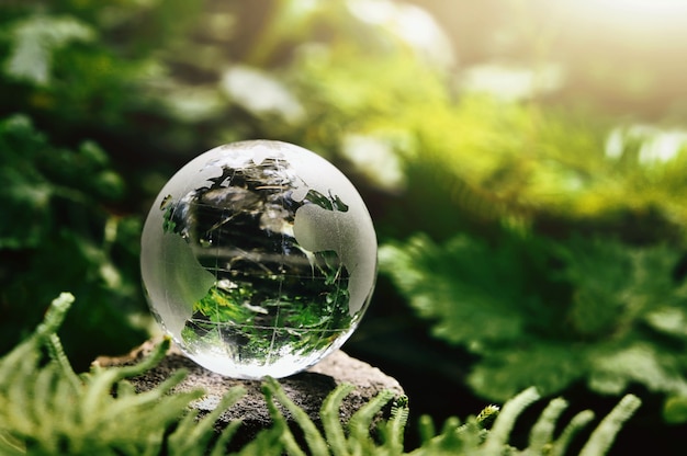 Vidrio de globo de cristal descansando sobre piedra con hojas verdes y sol en la naturaleza. concepto de medio ambiente ecológico