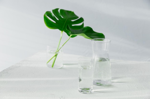 Vidrio matutino y jarra de agua limpia con dos grandes hojas verdes sobre una mesa blanca. Desayuno con luz solar larga sombra y reflejo. Concepto de un estilo de vida saludable