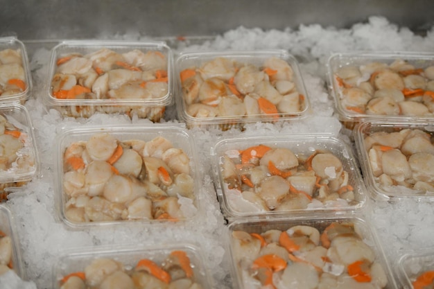 Vieiras frescas em um mercado de frutos do mar em dieppe france