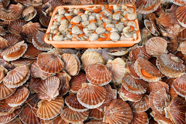 Vieiras frescas en un mercado de mariscos en Dieppe Francia