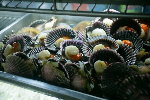 Vieiras frescas no mercado Surquillo em Lima Peru