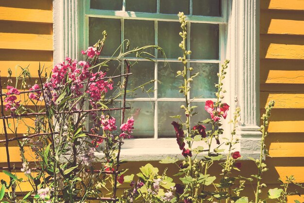 Foto vieja cabaña con jardín de verano