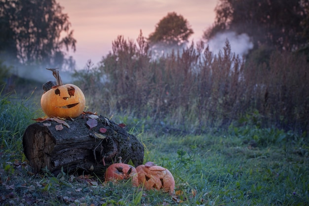 Vieja calabaza de Halloween en mal estado al aire libre