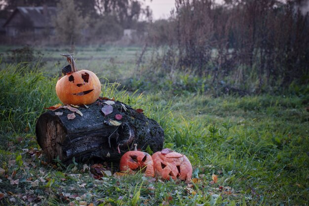 Vieja calabaza de Halloween en mal estado al aire libre