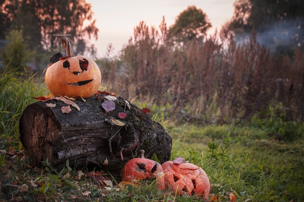 Vieja calabaza de Halloween en mal estado al aire libre