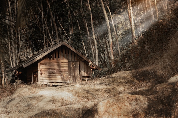 Foto una vieja casa en el bosque para el fondo.