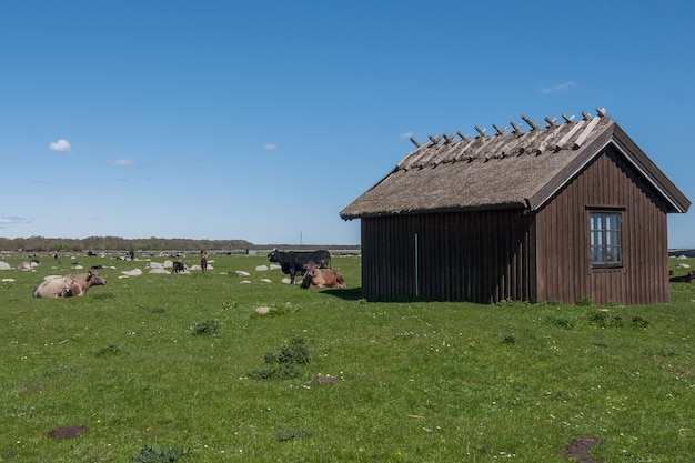 Una vieja casa de piedra se encuentra en un prado verde. Öland, Suecia