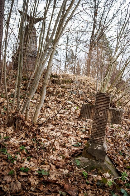 Vieja cruz de lápida de la Primera Guerra Mundial cubierta de musgo y hojas viejas en el bosque de otoño