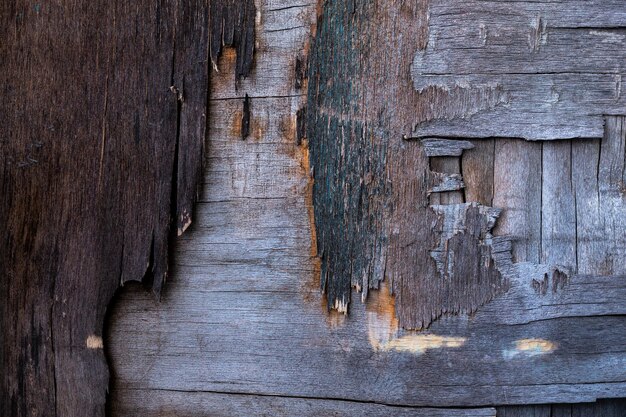 Vieja hoja de madera contrachapada destruida closeup textura superficial