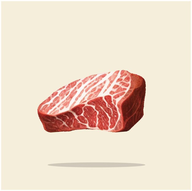 Foto vieja ilustración de carne de res cortada 01