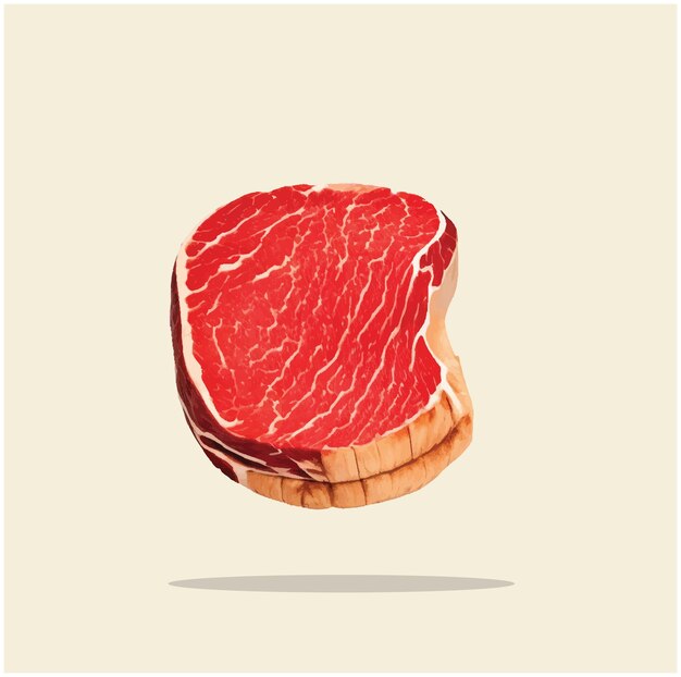 Foto vieja ilustración de carne de res cortada 04