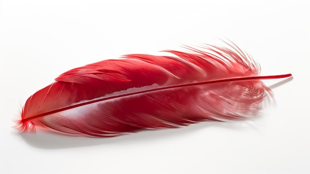 Una vieja pluma roja que se dibuja sobre un fondo blanco en el estilo de color rojo claro y rosa claro sketchfab transparenttranslucent medium bold colors generat ai