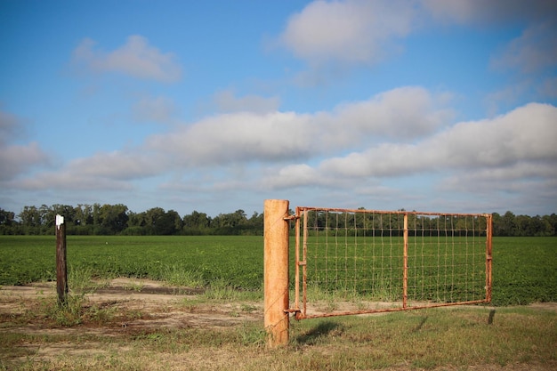 Foto vieja puerta de metal oxidado del campo contra el cielo