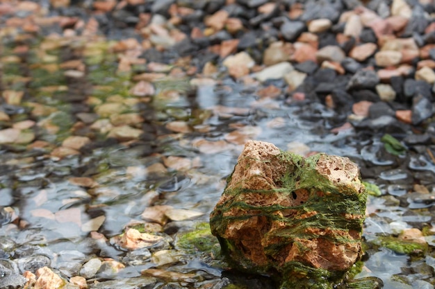 Vieja roca cubierta de musgo en un río con agua pura, limpia y transparente Hermosas piedras de colores