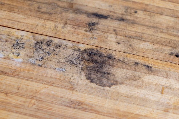 Foto vieja superficie de madera de bambú cubierta de moho y hongos