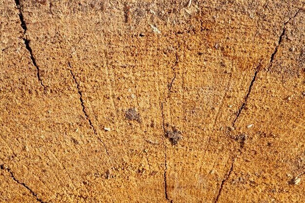 Una vieja superficie de madera con una serie de daños