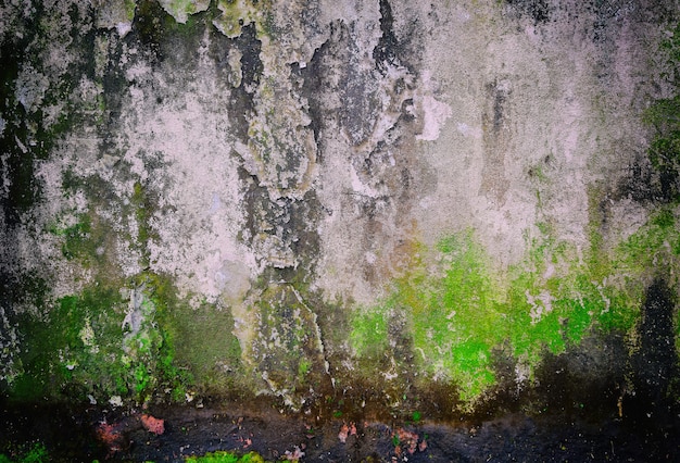 Foto vieja textura de fondo grunge de viejo muro de hormigón